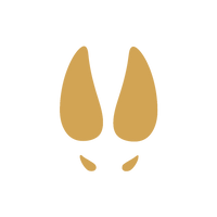 Field-Tested Formulas